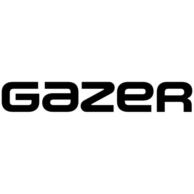 Installation kit for installing GAZER multimedia head units in cars - model E210/L-F010