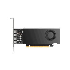 Відеокарта PNY NVIDIA RTX 2000E Ada Gen LP OEM   PCI-Ex16 Gen 4.0,SinglSlot,50W16 GB G7 ECC 128-bit PNY NVIDIA RTX2000E ADA 16G 4mDP (VCNRTX2000EADA-SB)