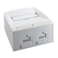 Настінний блок Synergy 2P DG+C5E, UTP, білий MOLEX SSY-00010-02
