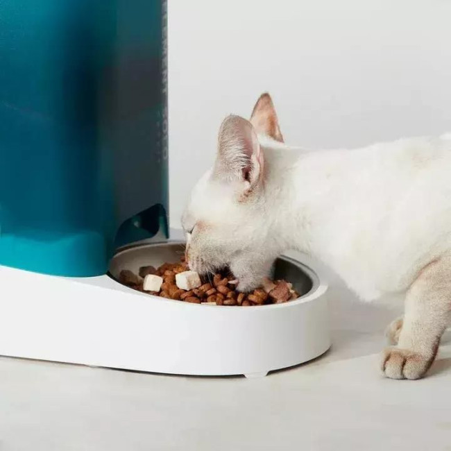 Смарт годівниця PETKIT Fresh Element SOLO (White) P570