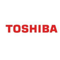Гальмівний майданчик HOLD PAD 6LJ75294000 TOSHIBA