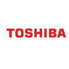 Гальмівний майданчик HOLD PAD 6LJ75294000 TOSHIBA