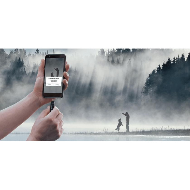 Флеш-пам'ять (накопичувач USB) USB-C 256GB SDDDC3-256G-G46 SANDISK