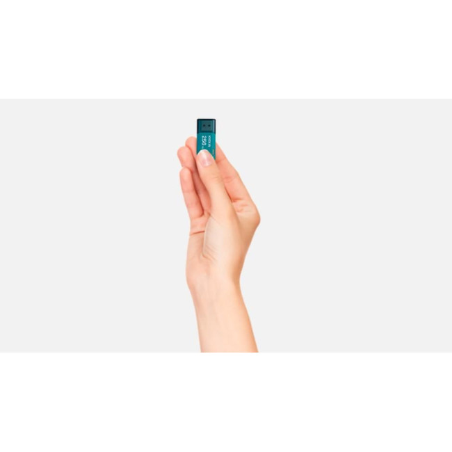 Флеш-пам'ять (накопичувач USB) USB3 128GB LU301L128GG4 KIOXIA