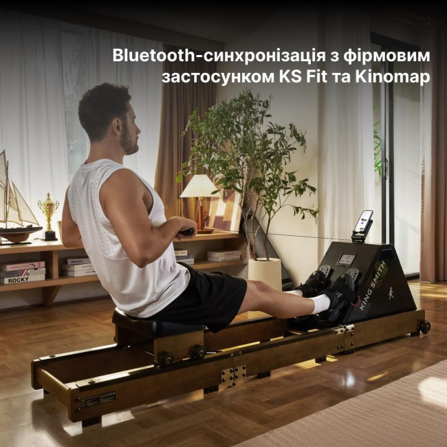 Водний гребний тренажер із системою потрійного складання KINGSMITH WR20 (RMWR20F) колір червоний дуб