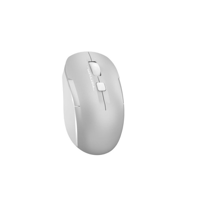 Миша бездротова безшумна Fstyler, Bluetooth / 2.4 ГГц, вбудований акумулятор, 2000DPI, сірий+білий