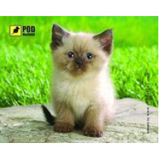 Килимок для миші Сіамський котик