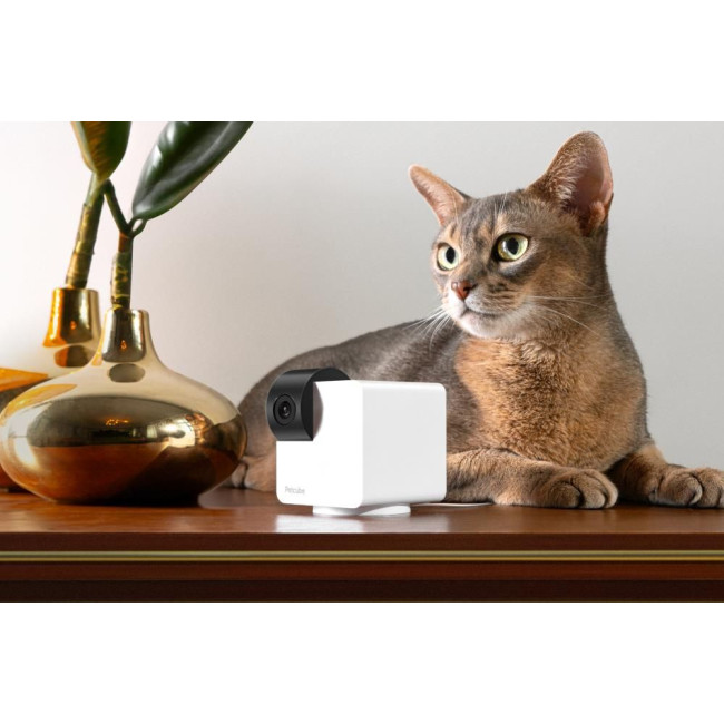 Компактна HD-камера Petcube Cam 360 (P36010US)
