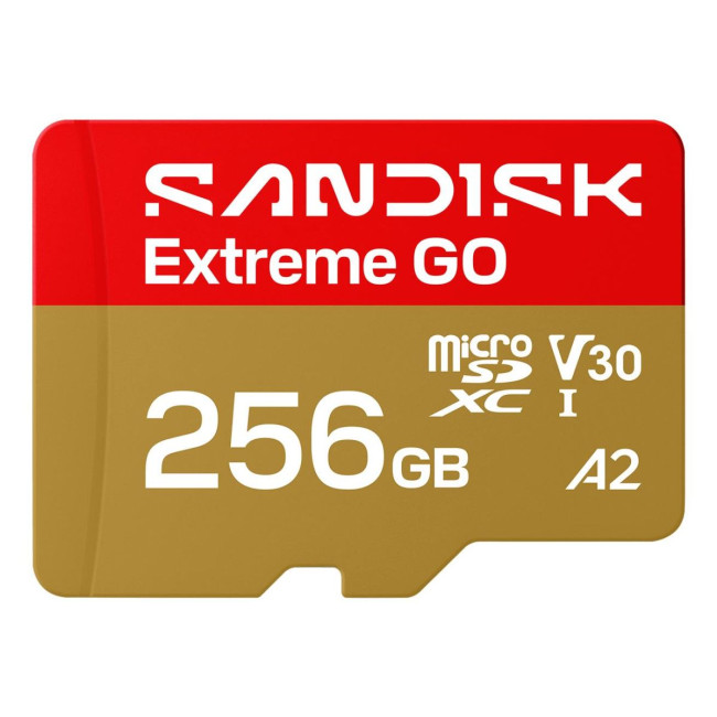 Карта пам'яті SANDISK Extreme GO SDXC 256GB UHS-I V30 A2