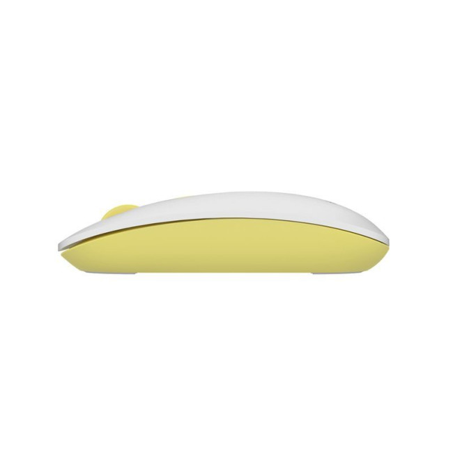 Миша бездротова безшумна Fstyler, USB, 2000 dpi, daisy